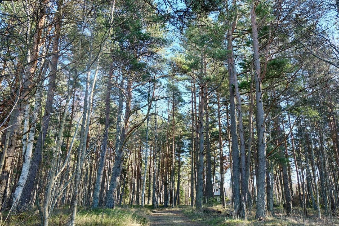 Tahkuna Puhkekeskus Hiiumaa Exterior foto